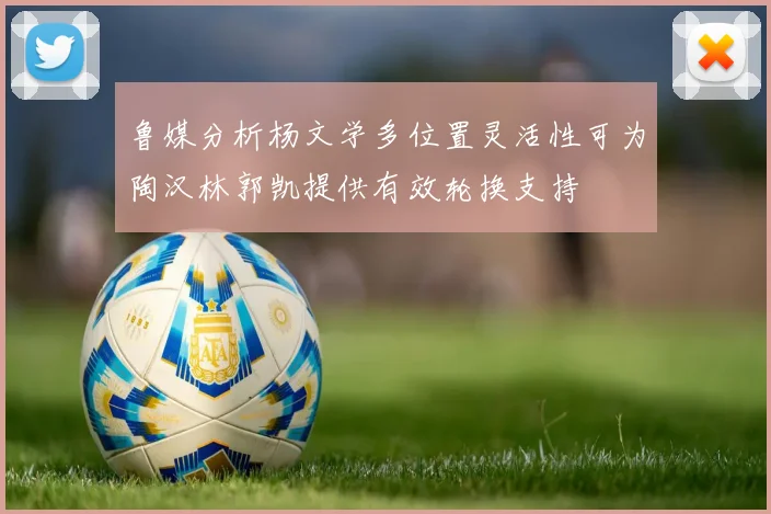 鲁媒分析杨文学多位置灵活性可为陶汉林郭凯提供有效轮换支持