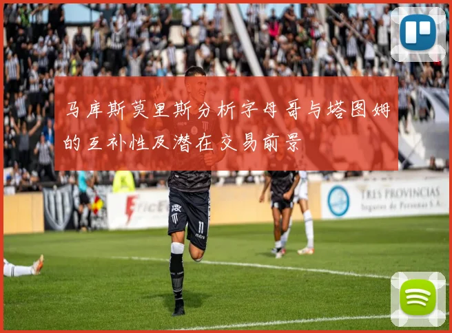 马库斯莫里斯分析字母哥与塔图姆的互补性及潜在交易前景